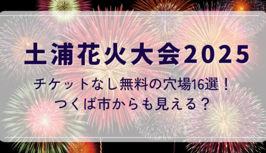 土浦花火大会2025チケットなし無料の穴場16選！つくば市からも見える？