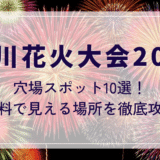 淀川花火大会2025穴場スポット10選！無料で見える場所を徹底攻略